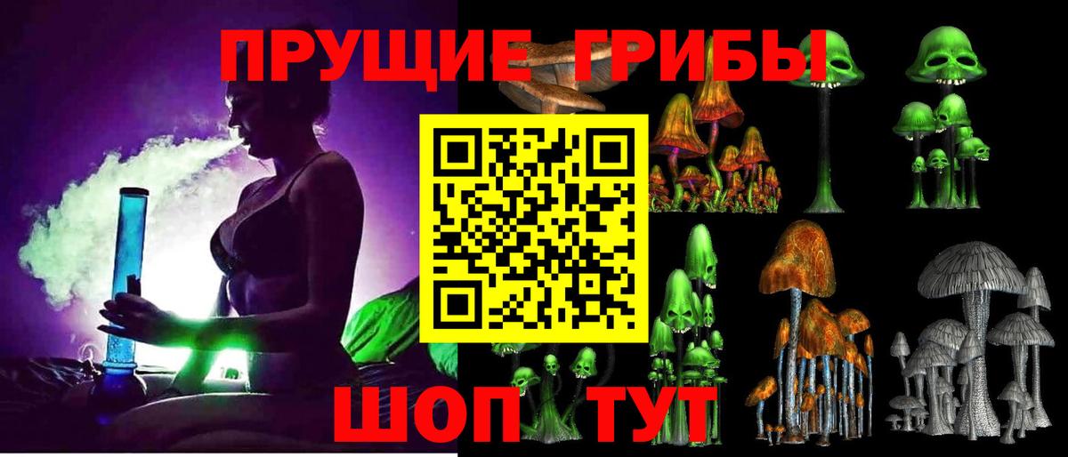 Троицк  Галлюциногенные грибы Psilocybe  Псилоцибиновые грибы Cubensis  Вход с VPN 