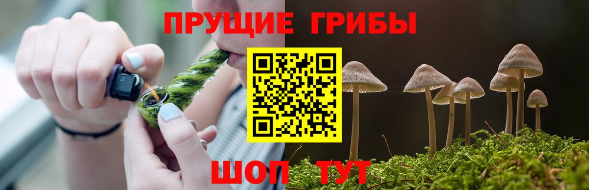 Псилоцибиновые грибы Magic Shrooms Троицк
